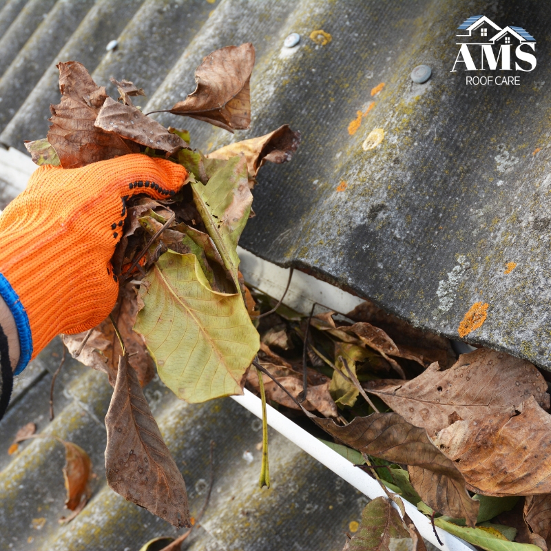 Professional gutter cleaning and repairs in Turramurra