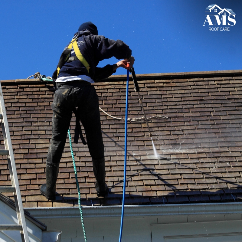 Roof gutter and downpipe inspection in Ryde