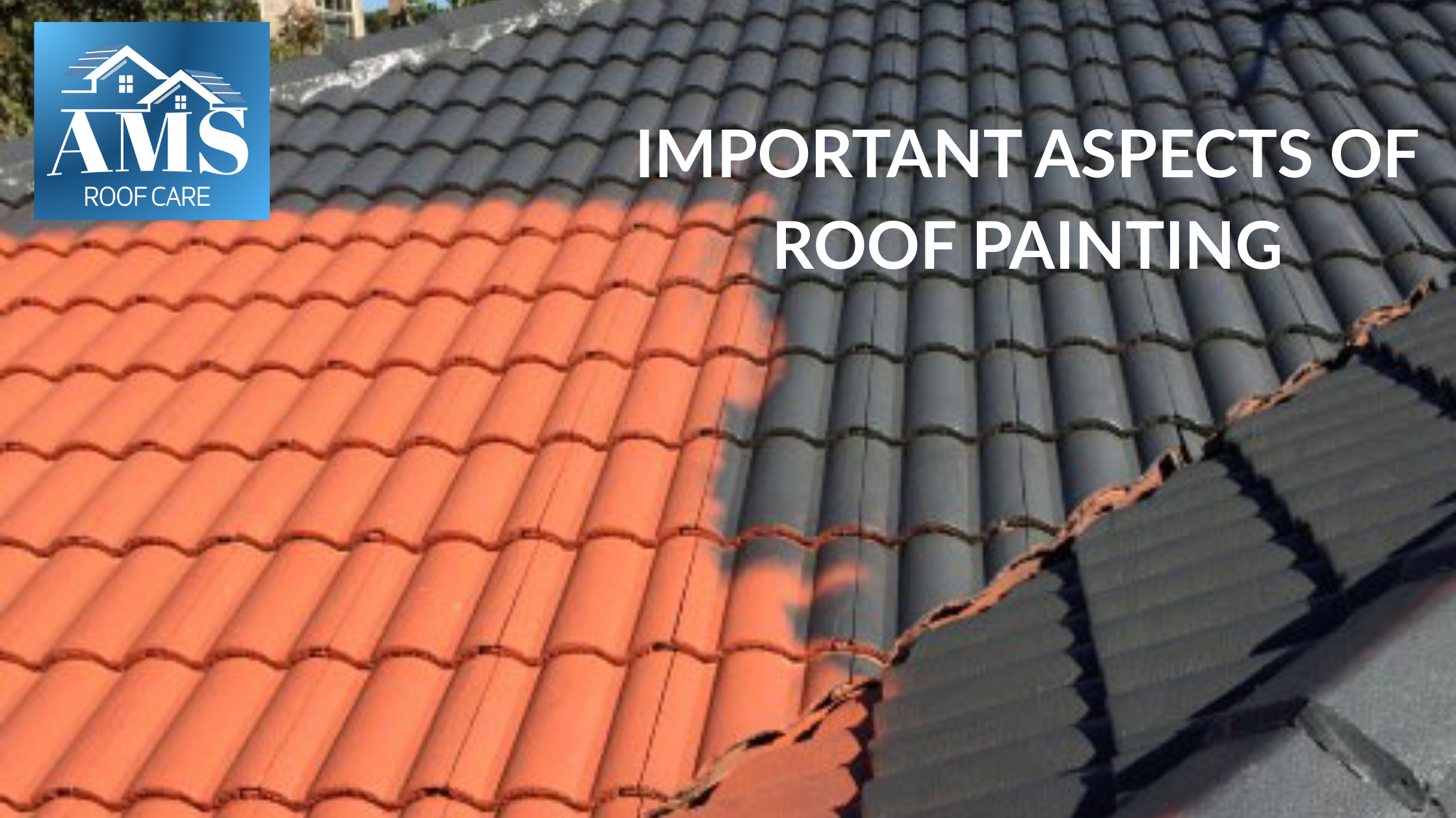 Important Aspects of Roof Painting