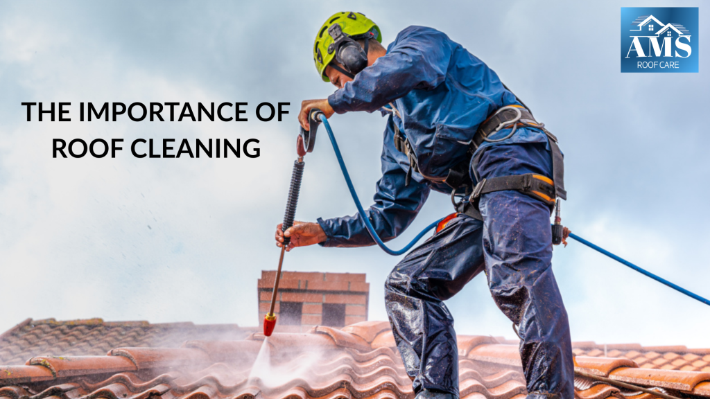 The Importance of Roof Cleaning