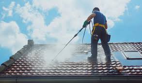 Roof Cleaning Sydney